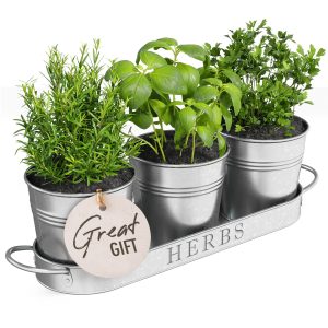 Barnyard Designs Indoor Herb Garden Planter Set with Tray, Metal Windowsill Plant Pots with Drainage for Outdoor or Indoor Plants, Set/3 (Galvanized)